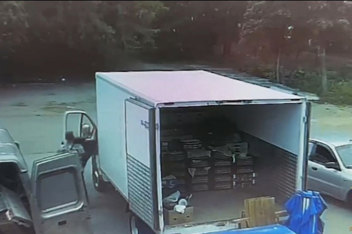 кадр из видео УМВД России по Липецкой области