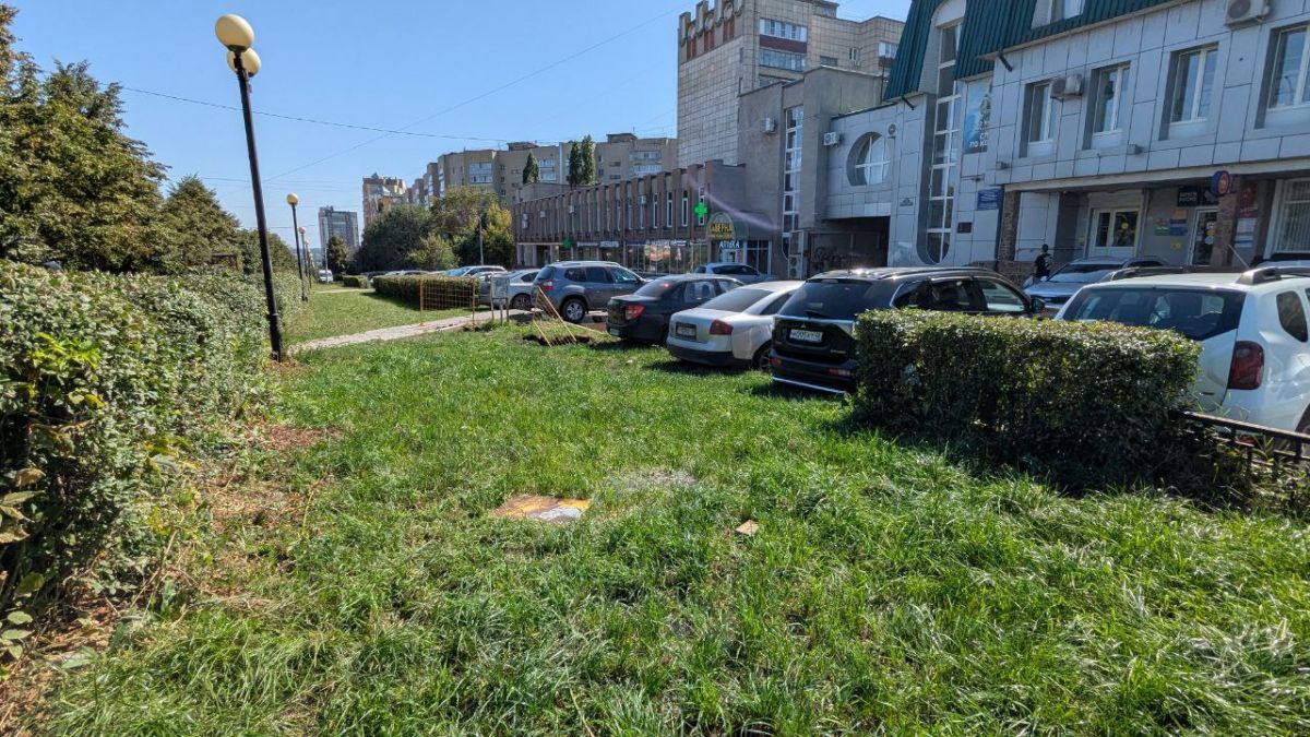 На улице Неделина в Липецке с 14 августа появился странный родник