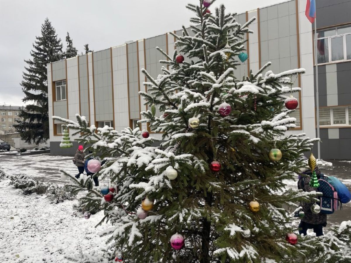 Липецким школьникам разрешили не посещать уроки из-за сильного мороза всю неделю