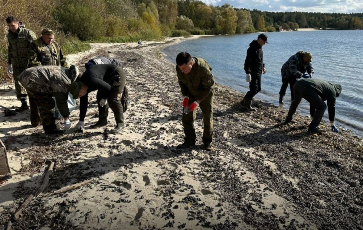 Липецкие чиновники очистили берега Матырского водохранилища от мертвой рыбы