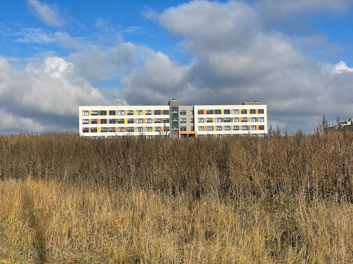 «Дети вынуждены ходить по полю, где дикие звери»: жители липецкого села просят Бастрыкина помочь с дорогой в школу