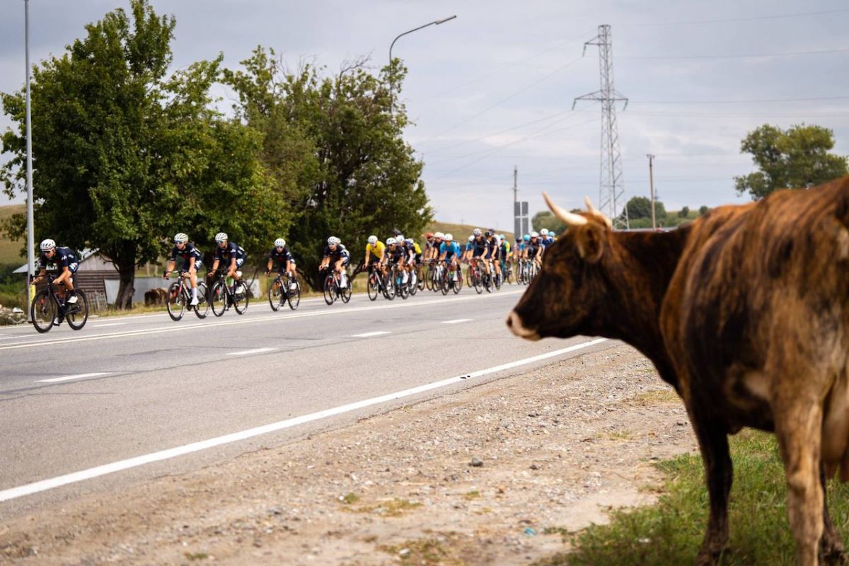 druzhbanarodovskorovoi