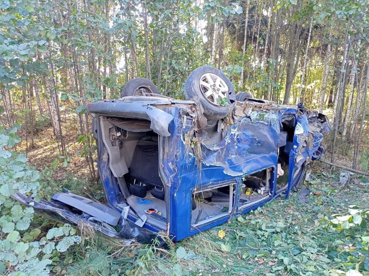 Двое человек пострадали в ДТП под Брянском