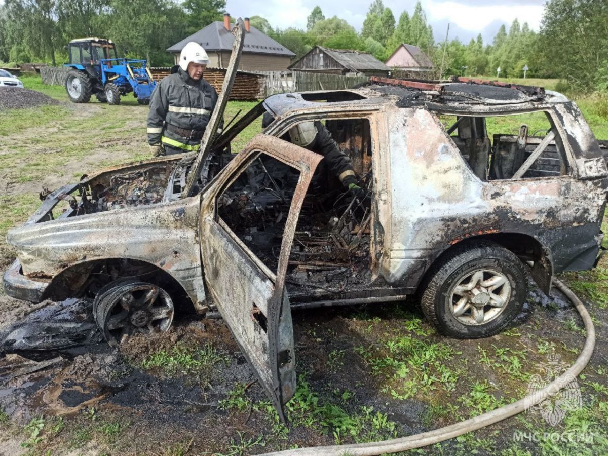 Под Брянском сгорел легковой автомобиль