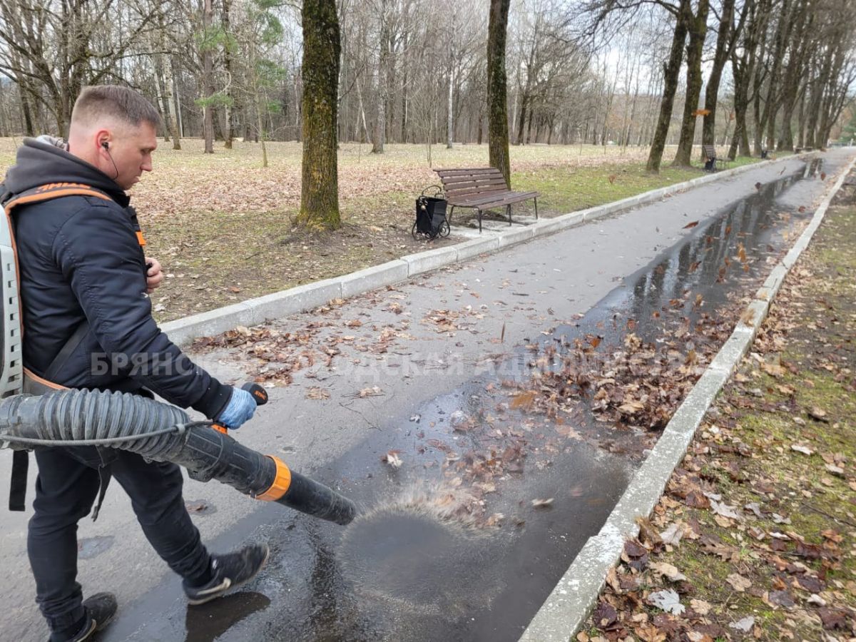 Брянские парки обрабатывают от клещей