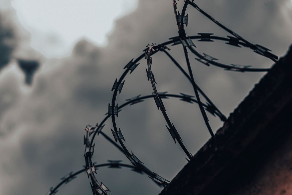 https://ru.freepik.com/