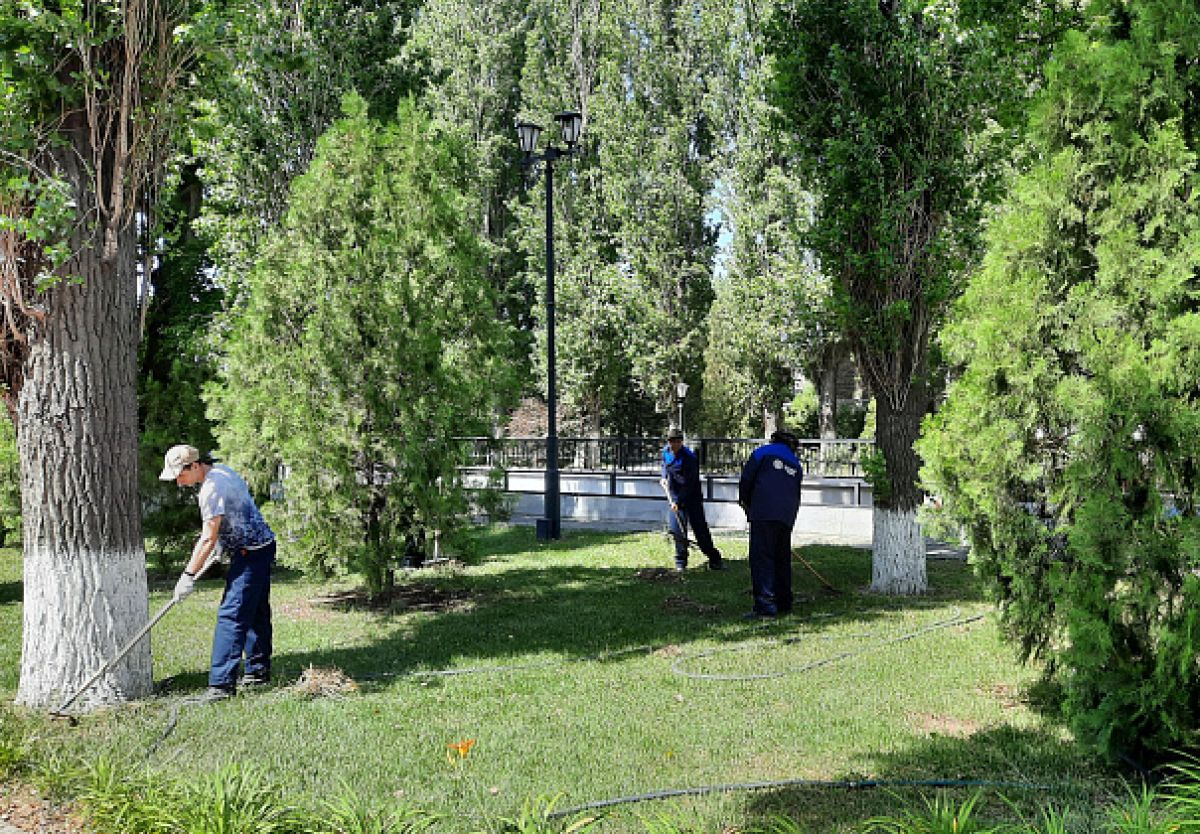 пресс-служба администрации Волгоградской области