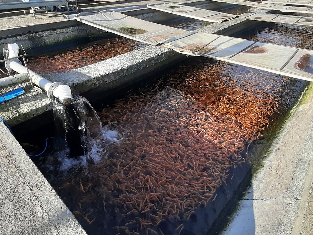 пресс-служба ОТЭКО