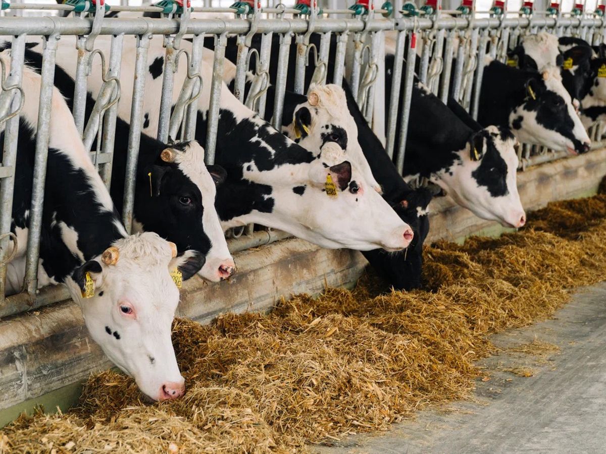 Агрохолдинг «СТЕПЬ»